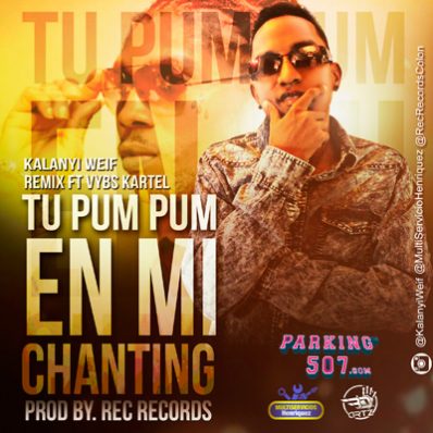 kalanyi weif ft vybz kartel - Tu Pumpum En Mi Chanting Enchanting Remix Zonabashement Cr