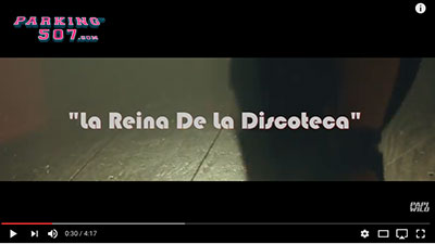 LA REINA DE LA DISCOTECA