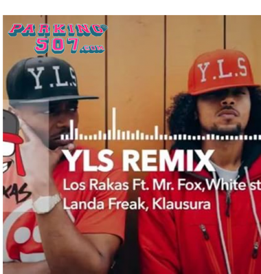 YLS los rakas ft mr fox